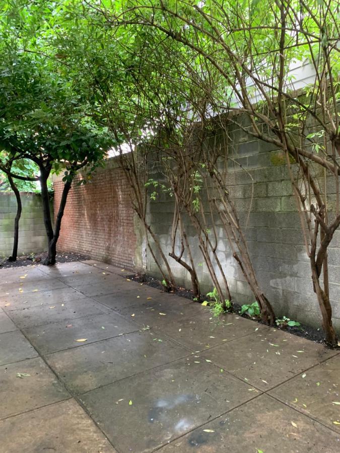 Renovated English Basement 2Bdrm Home Near Metro واشنطن المظهر الخارجي الصورة